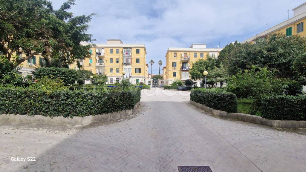 immagine annuncio 11 di 12