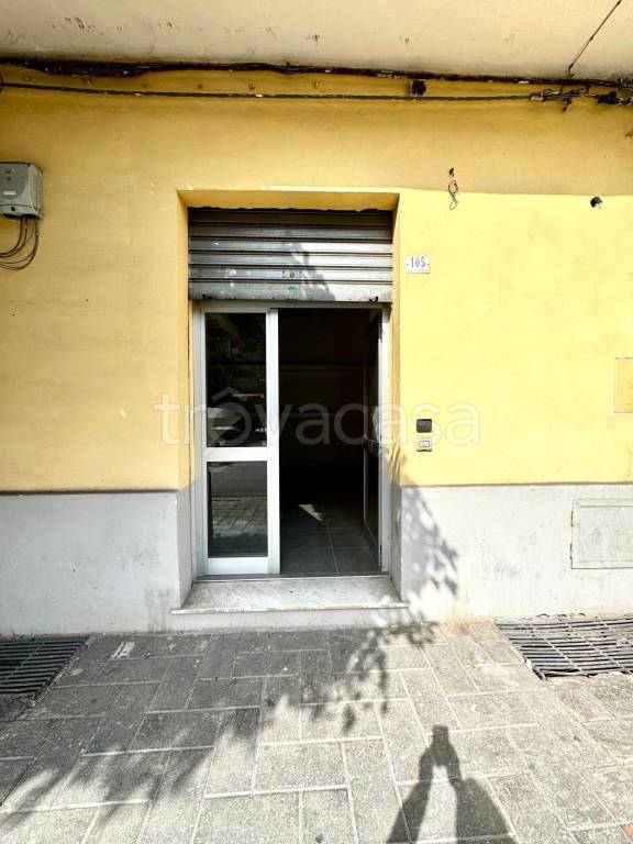 immagine annuncio 2 di 7