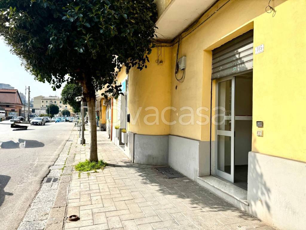 immagine annuncio 3 di 7