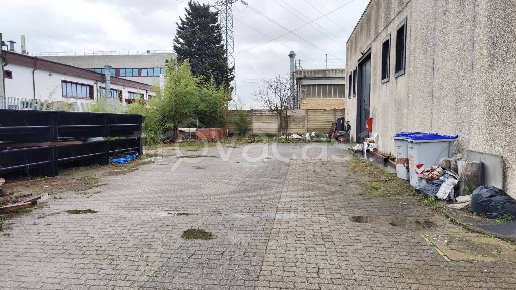 immagine annuncio 1 di 11