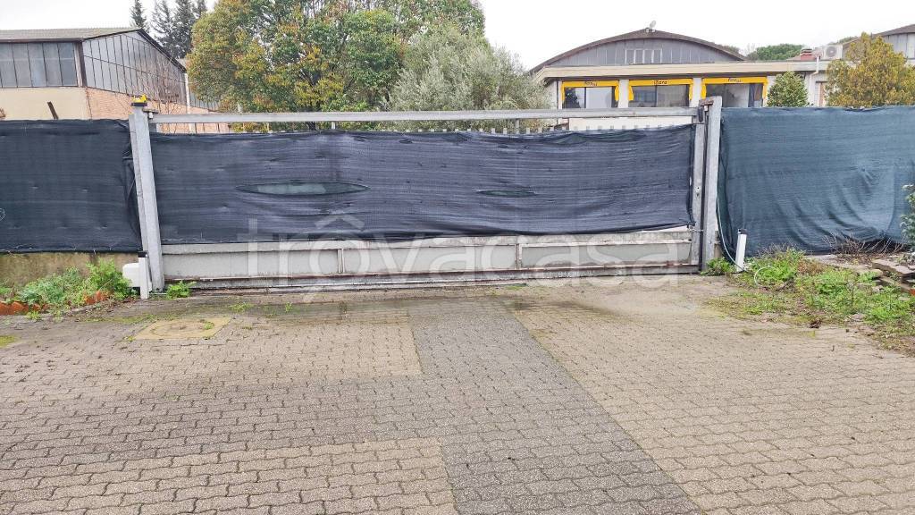 immagine annuncio 2 di 11