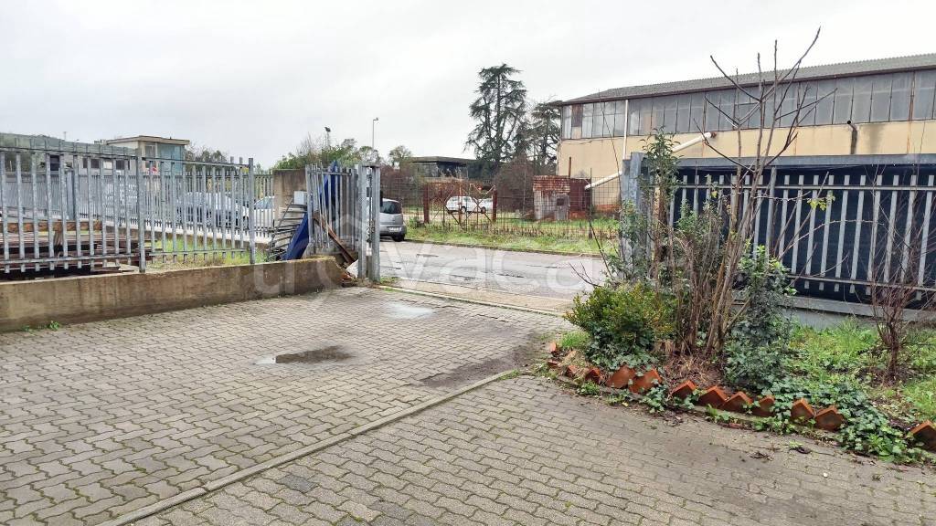 immagine annuncio 3 di 11