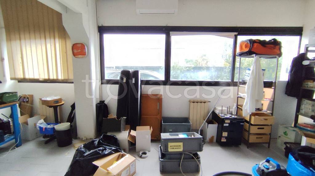 immagine annuncio 7 di 11