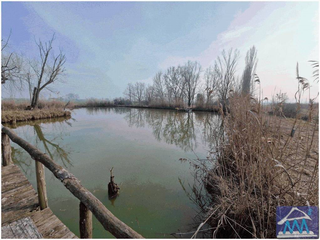 immagine annuncio 4 di 12