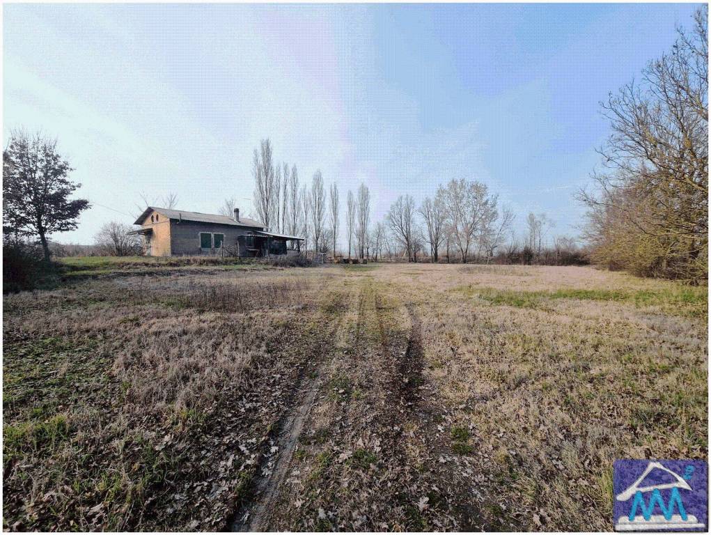 immagine annuncio 9 di 12