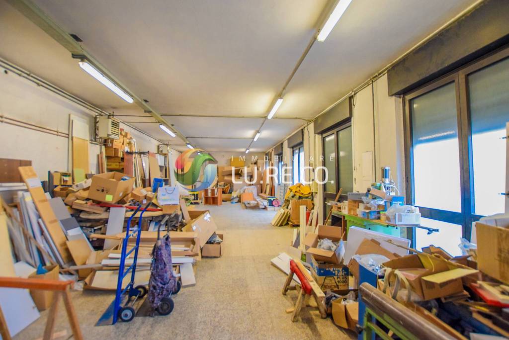 immagine annuncio 13 di 15