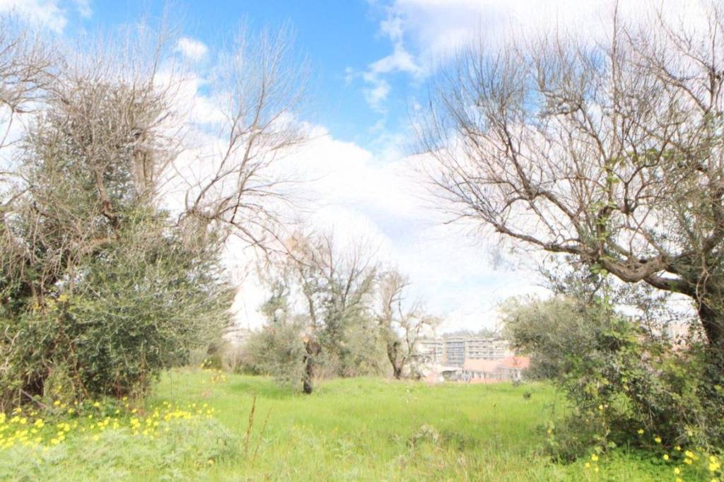 immagine annuncio 6 di 11