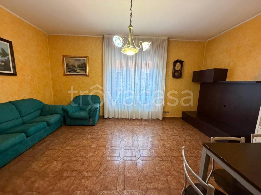 immagine annuncio 3 di 11