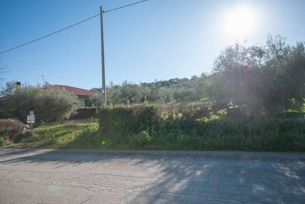 immagine annuncio 9 di 11