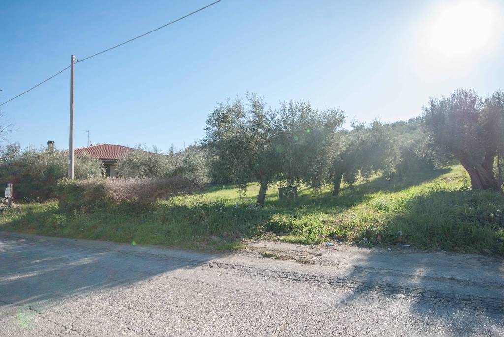 immagine annuncio 10 di 11