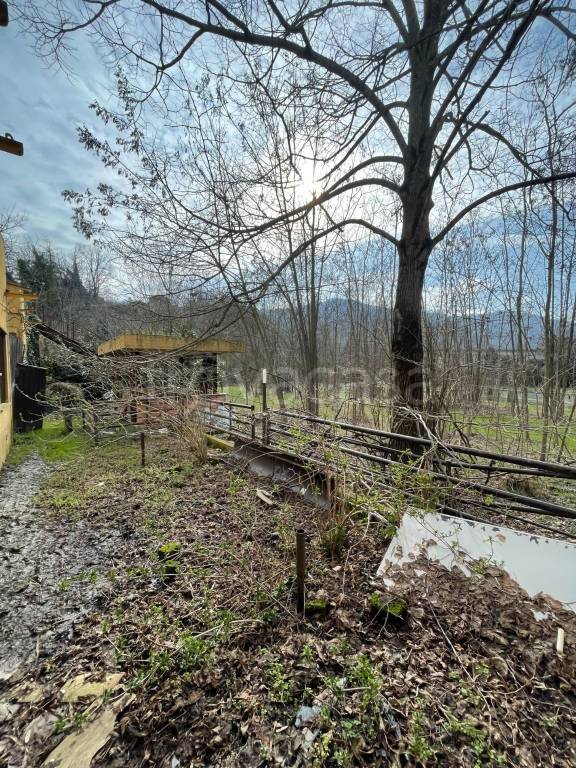 immagine annuncio 7 di 13