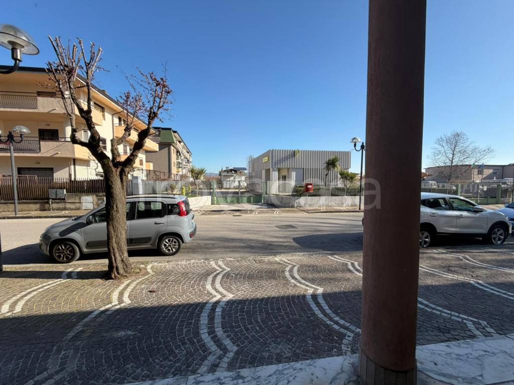 immagine annuncio 2 di 12