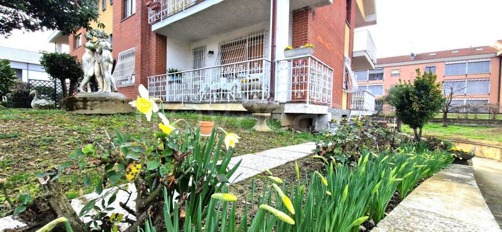 immagine annuncio 1 di 15