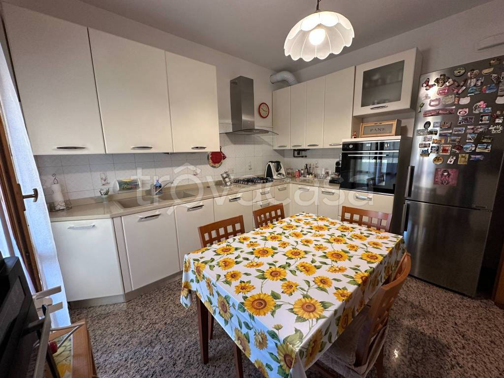 immagine annuncio 1 di 14