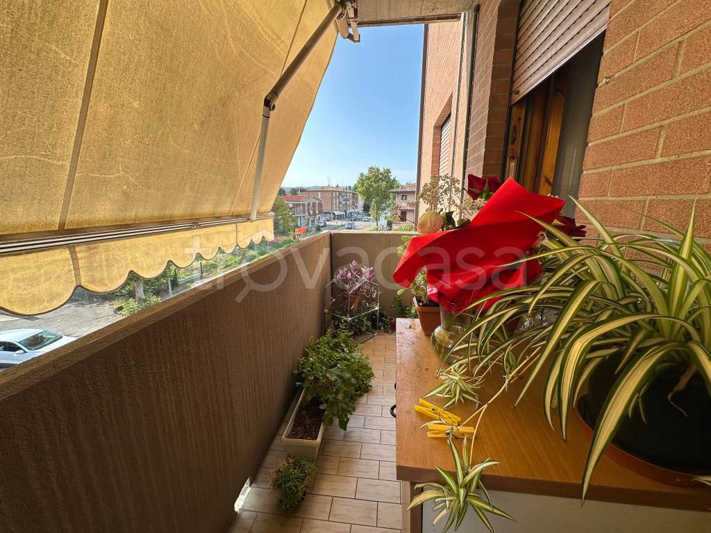 immagine annuncio 3 di 14