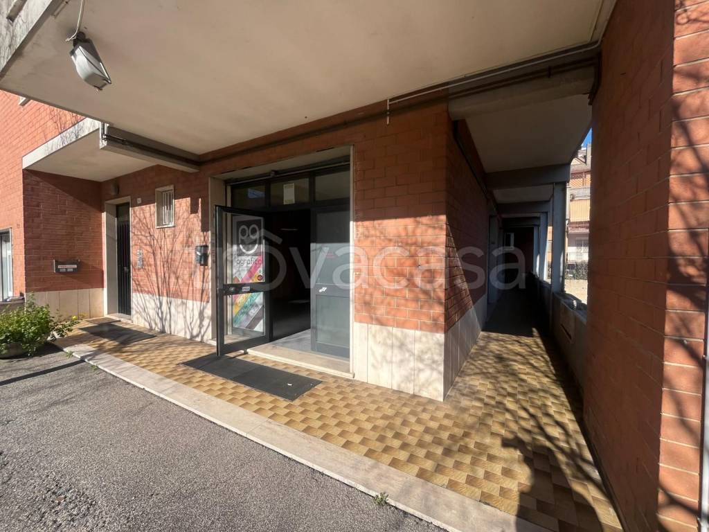 immagine annuncio 1 di 14