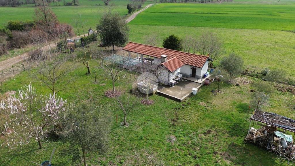 immagine annuncio 11 di 15