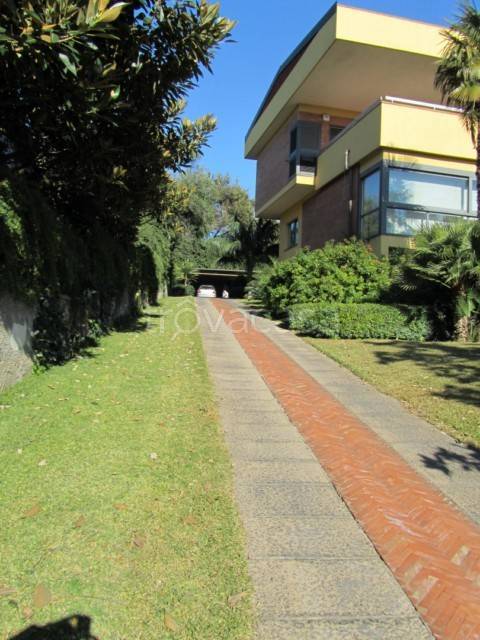 immagine annuncio 12 di 14
