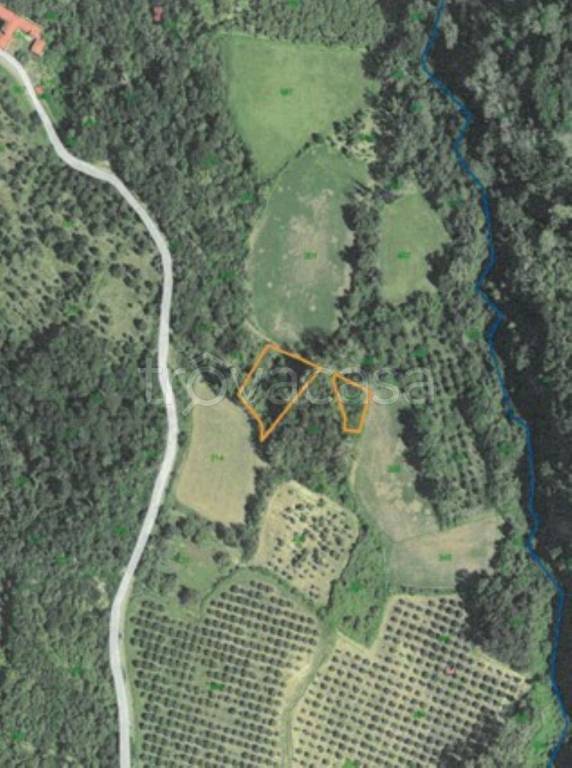 immagine annuncio 2 di 12