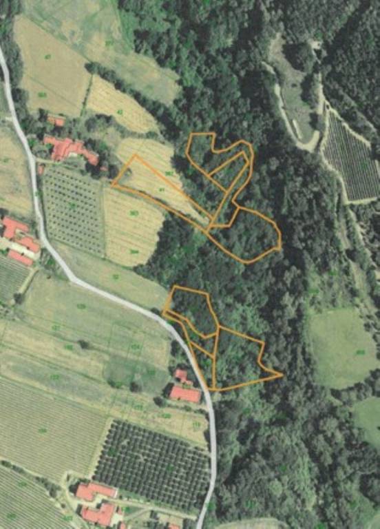 immagine annuncio 3 di 12