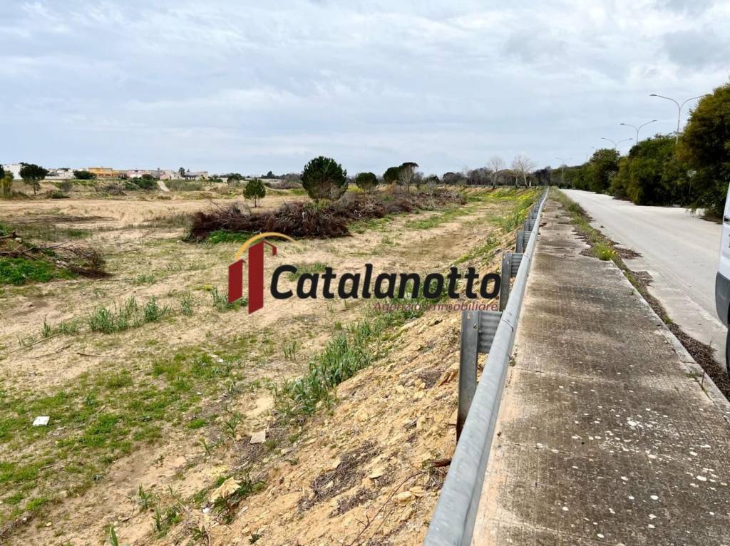 immagine annuncio 3 di 6