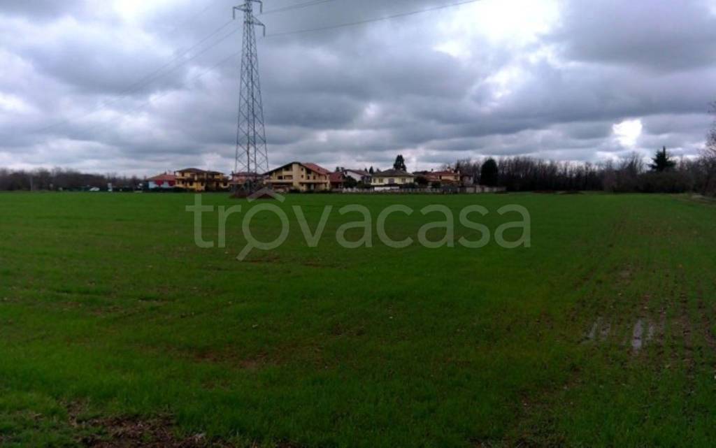 immagine annuncio 1 di 8