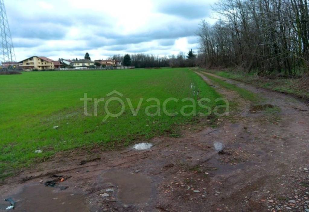 immagine annuncio 2 di 8