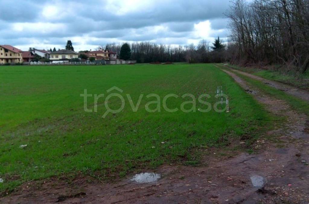 immagine annuncio 3 di 8