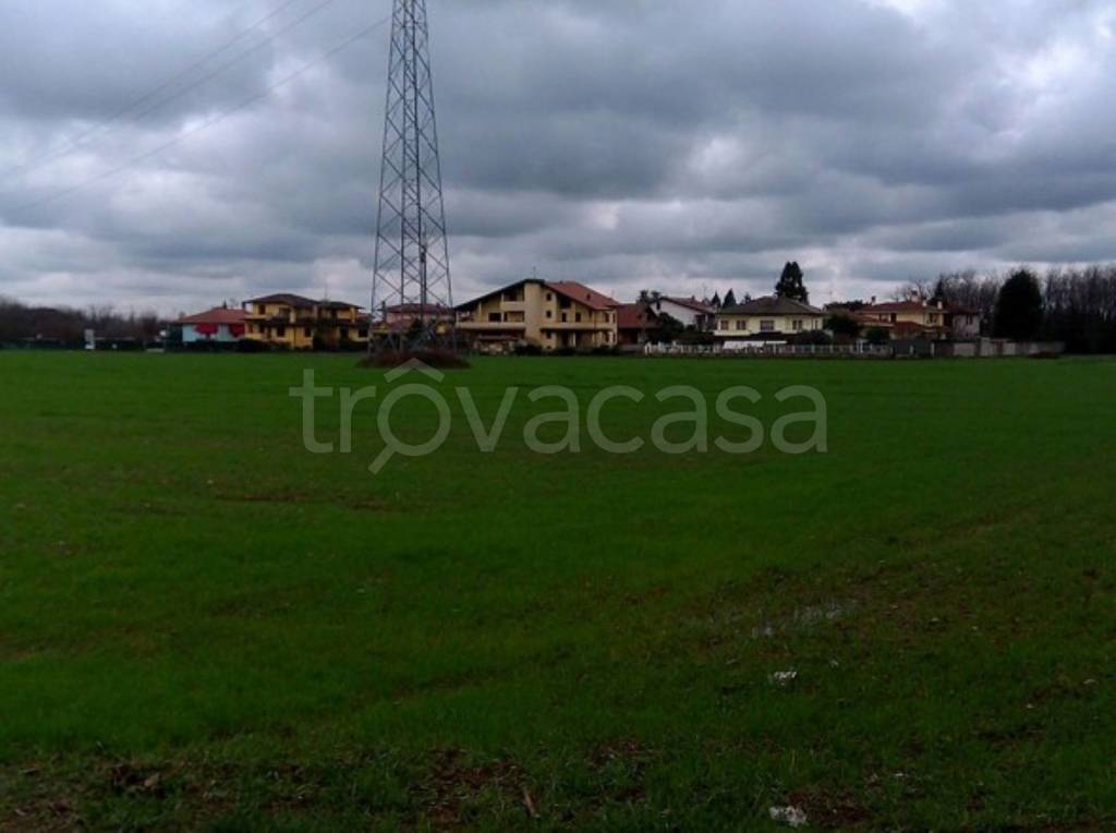 immagine annuncio 4 di 8