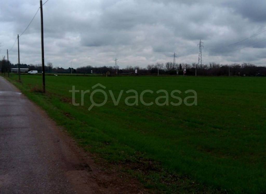 immagine annuncio 5 di 8