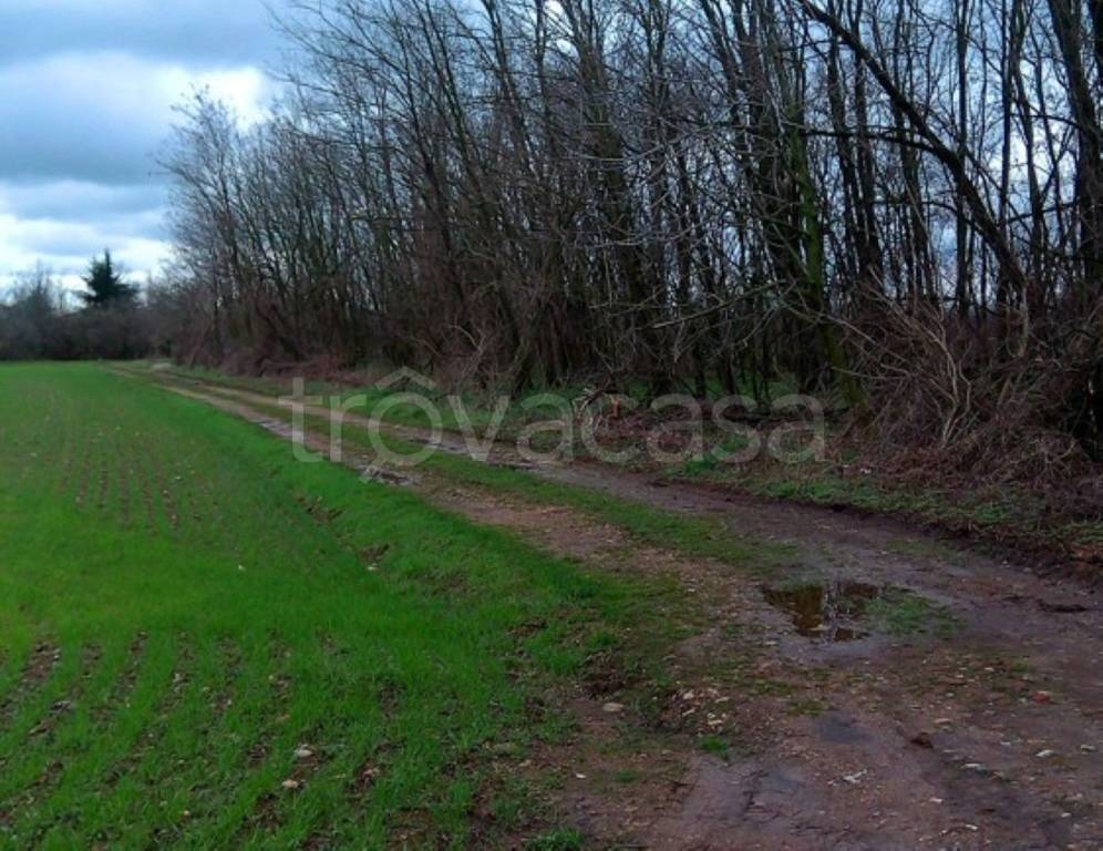 immagine annuncio 6 di 8