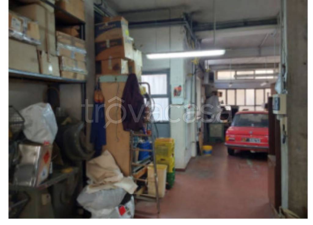 immagine annuncio 5 di 11