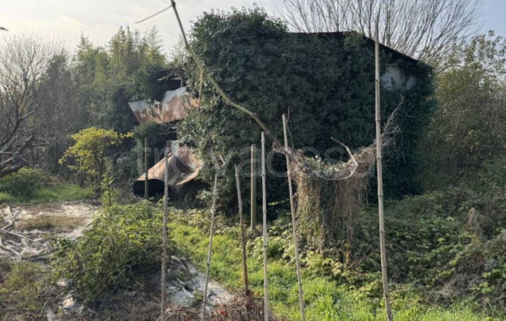 immagine annuncio 6 di 11