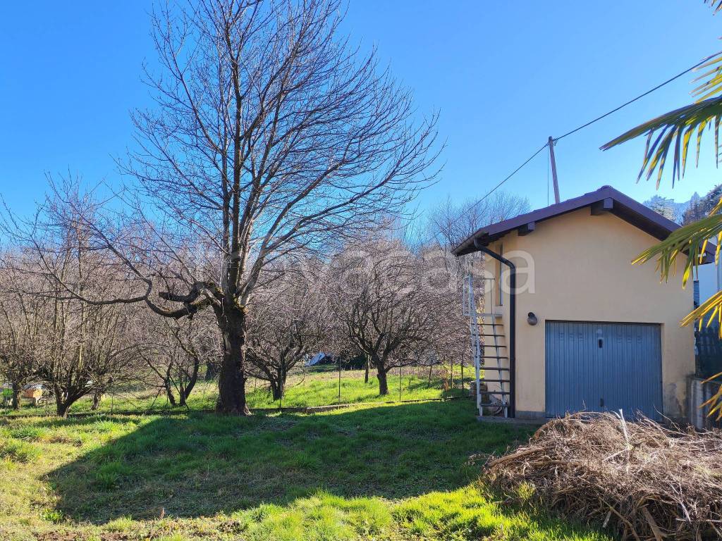 immagine annuncio 13 di 15