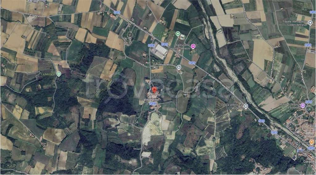 immagine annuncio 3 di 11