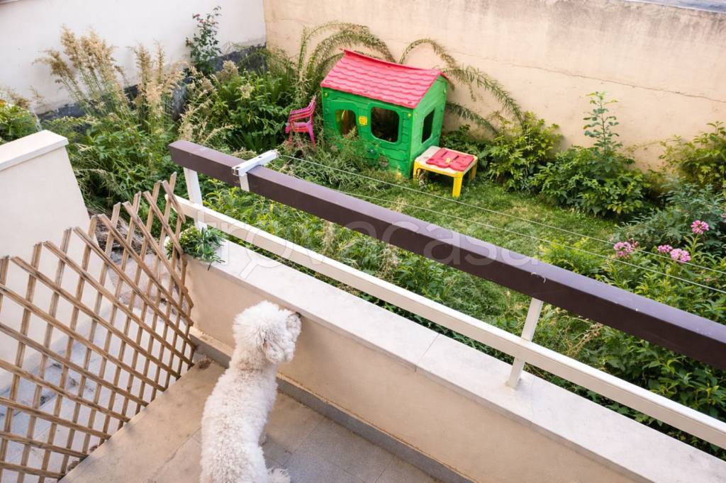 immagine annuncio 13 di 14