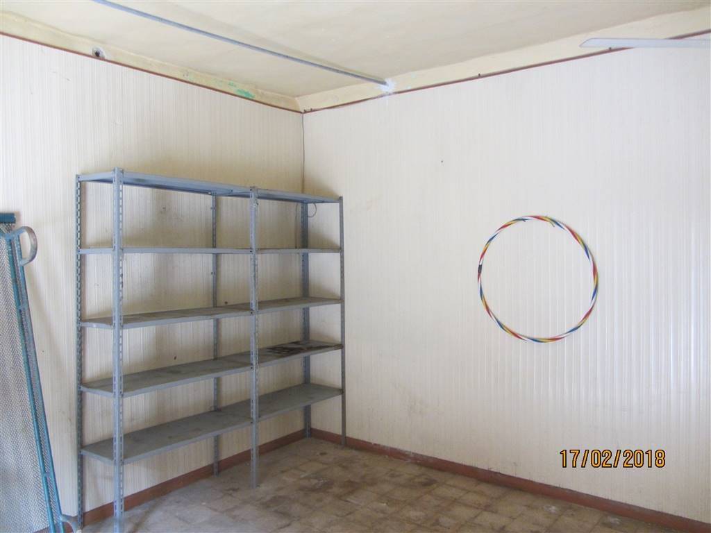 immagine annuncio 4 di 6