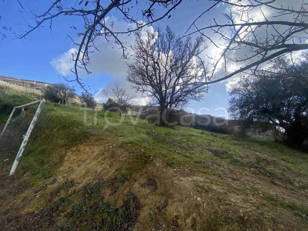 immagine annuncio 3 di 8