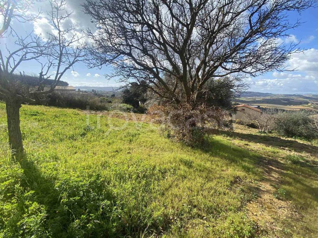 immagine annuncio 4 di 8