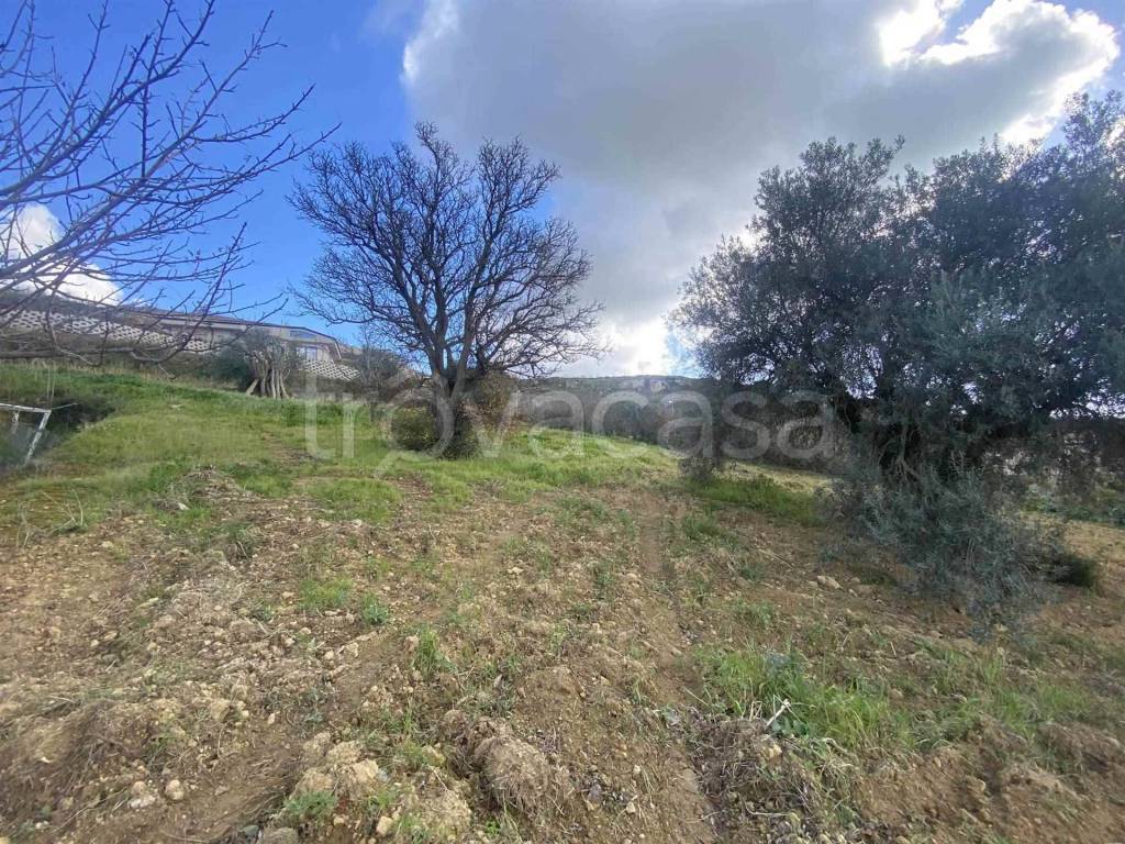 immagine annuncio 5 di 8