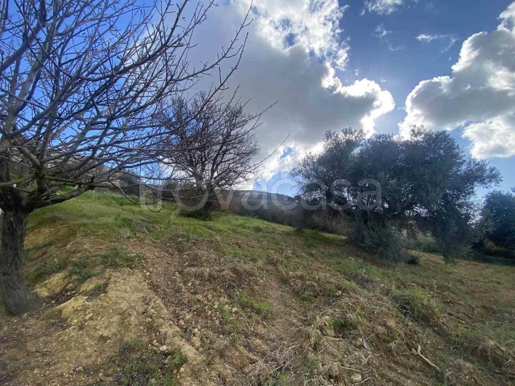 immagine annuncio 6 di 8