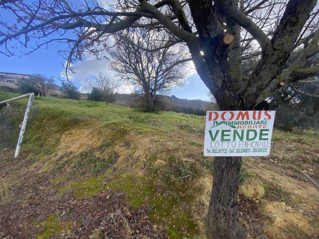 immagine annuncio 7 di 8