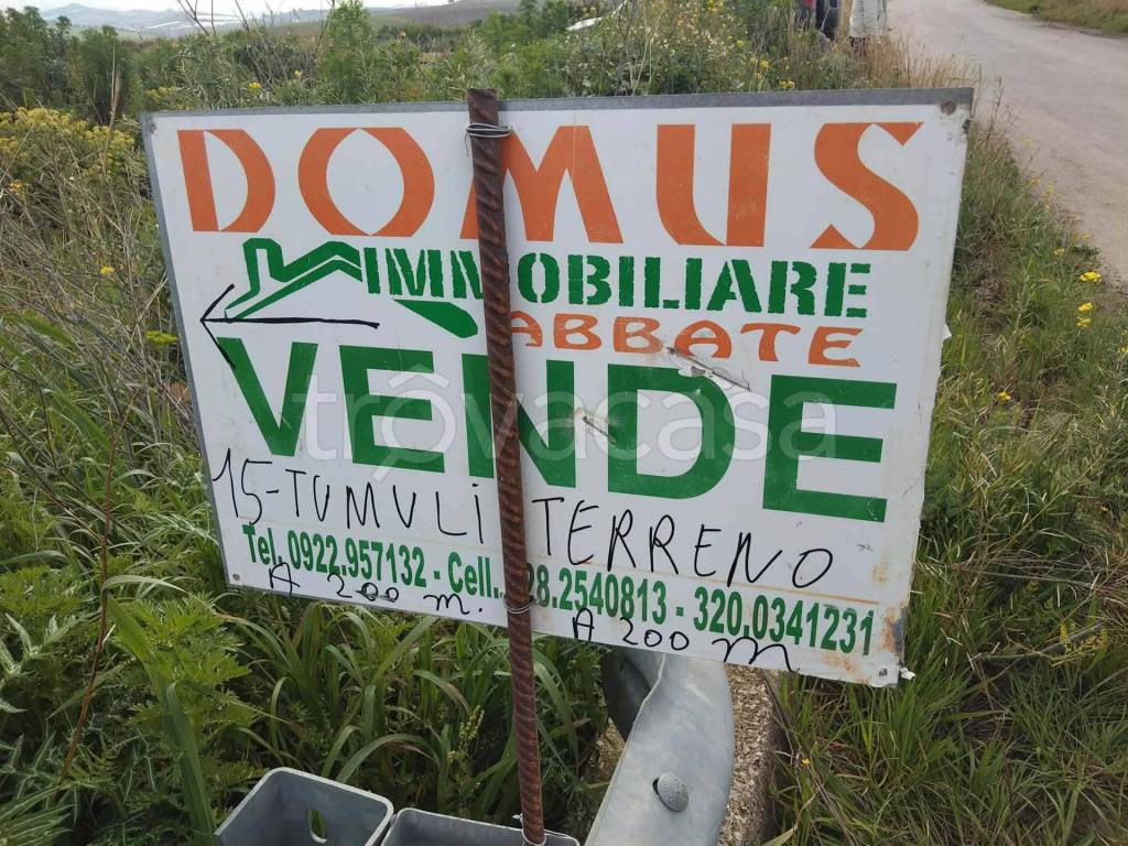 immagine annuncio 8 di 11