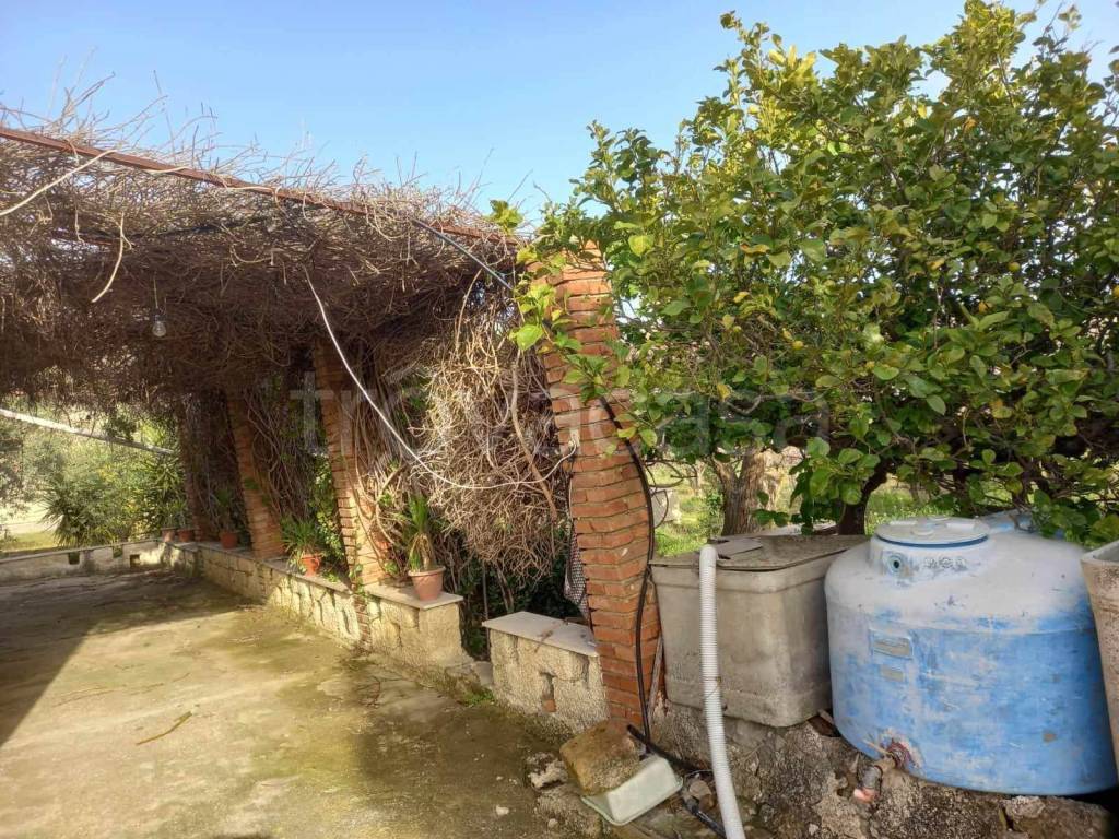 immagine annuncio 10 di 12