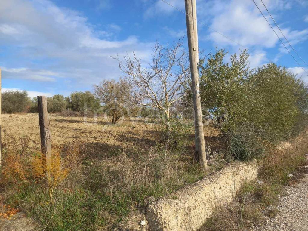 immagine annuncio 4 di 11