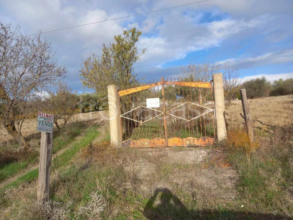 immagine annuncio 8 di 11