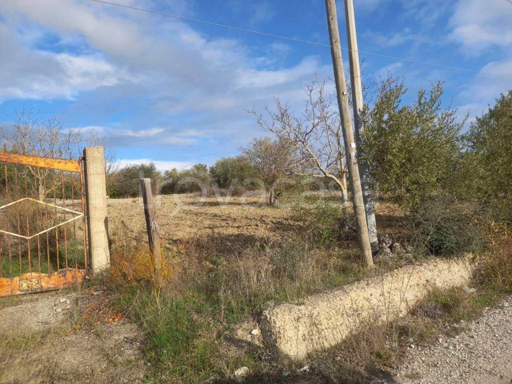 immagine annuncio 10 di 11