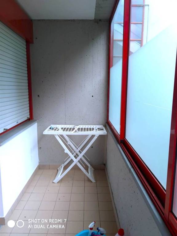 immagine annuncio 5 di 13