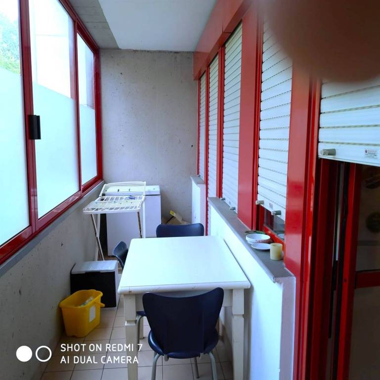 immagine annuncio 7 di 13