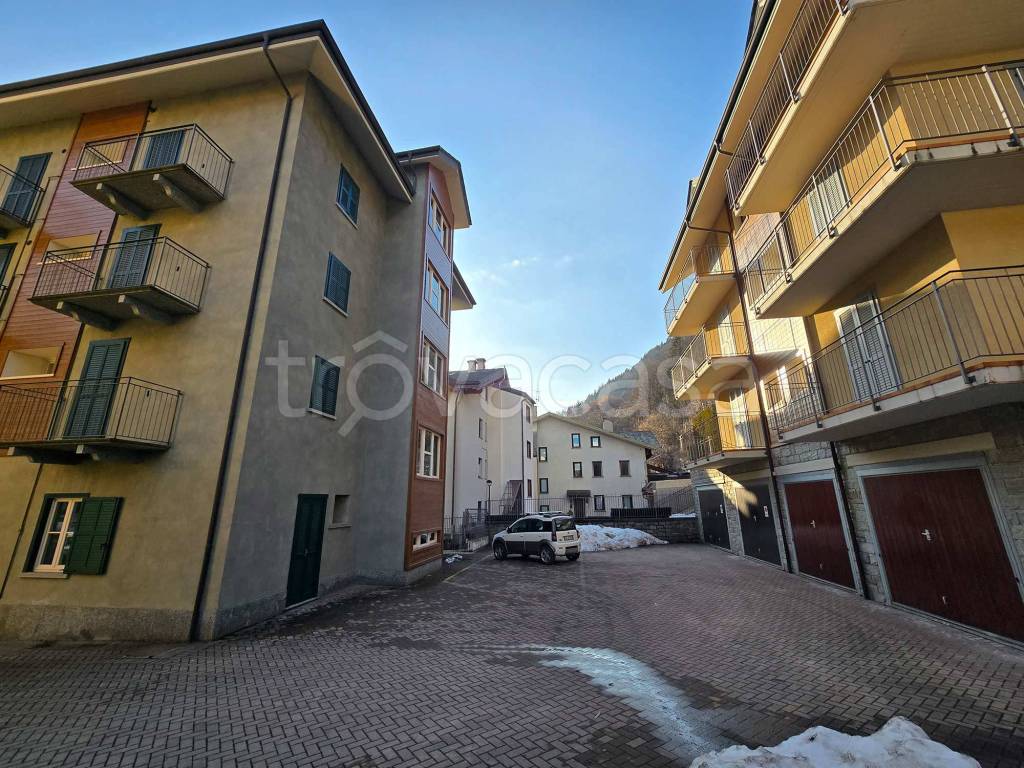 immagine annuncio 12 di 15
